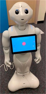 Together We can Figure It out: Groups Find Hospitality Robots Easier to Use and Interact With Them More than Individuals